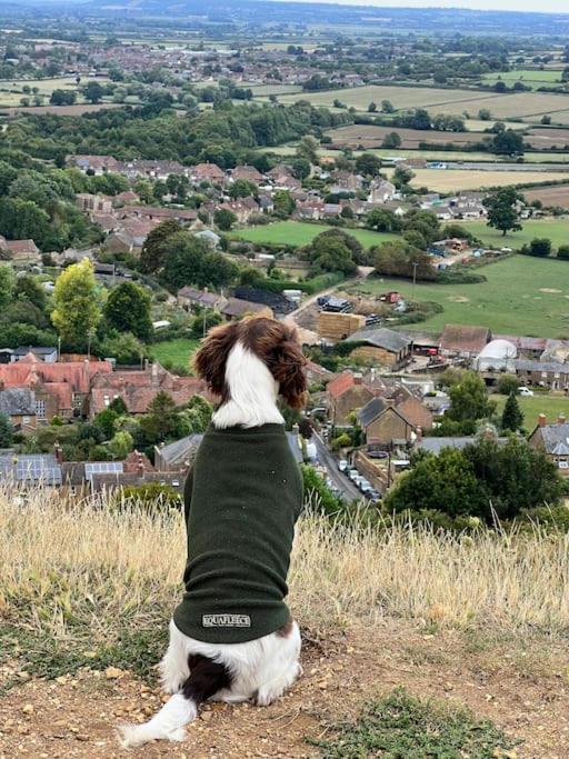 Spaniel Cottage With Views Of Ham Hill, Stoke Sub Hamdon Martock Exterior foto
