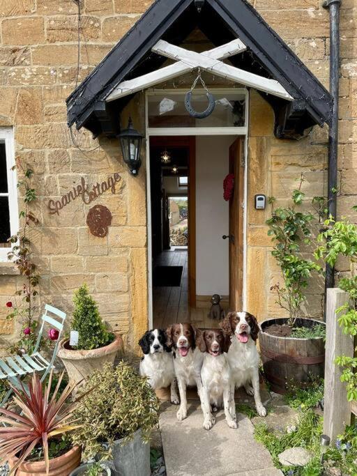 Spaniel Cottage With Views Of Ham Hill, Stoke Sub Hamdon Martock Exterior foto